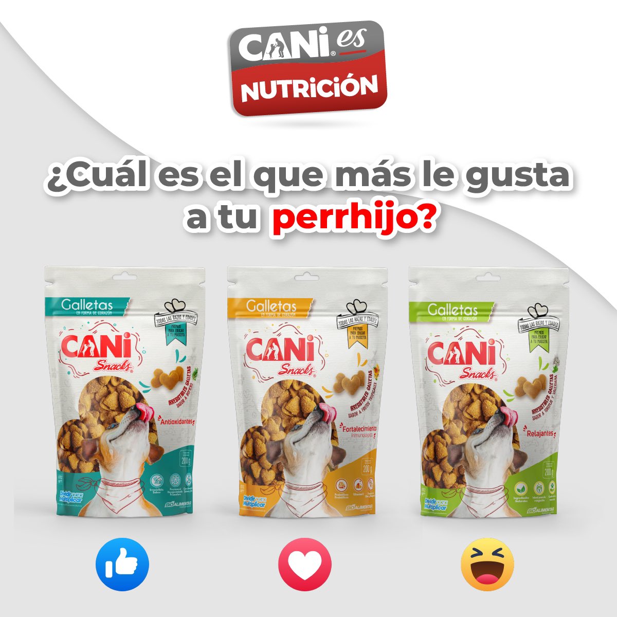 CANimentosec's tweet image. Tenemos #CANiGalletas para cada gusto.
📍Encuéntranos en los mejores pet shops a nivel nacional