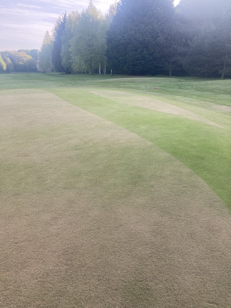 Stephen Curtis tweet media