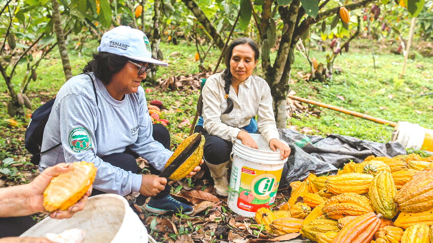 In our latest InUnison e-newsletter, #CorusChangemakers, we celebrate community champions and staff around the globe making impactful change to support sustainable #livelihoods, #health care access and #capacitystrengthening. 
corusinternational.org/static/inuniso…