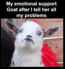 SensibleRalph's tweet image. She is a great listener. Like Charlotte. 

#Sanditon