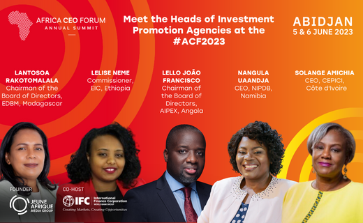 We are delighted to share our first line-up of Heads of #InvestmentPromotion Agencies that will be attending #ACF2023.  During its Annual Summit, THE AFRICA CEO FORUM provides a platform where #CEOs, #investors & #governments from across #Africa & the world engage & network.