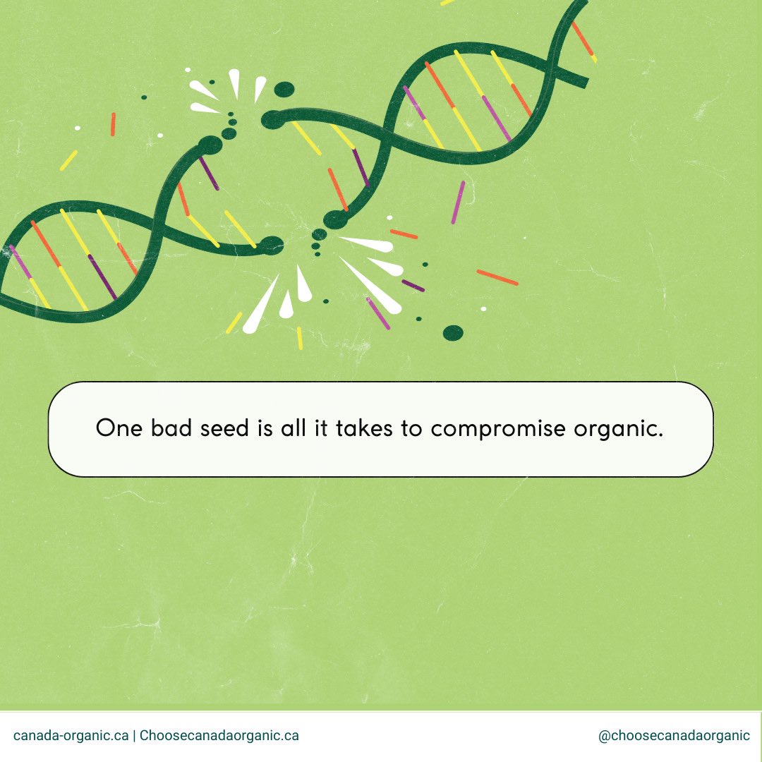 A disappointing decision from AAFC to allow the release of gene edited seeds without mandatory disclosure, as described in updated seed guidance. Full transparency needed to ensure organic integrity and choice for organic businesses and consumers. canada-organic.ca/en/news/canada…
