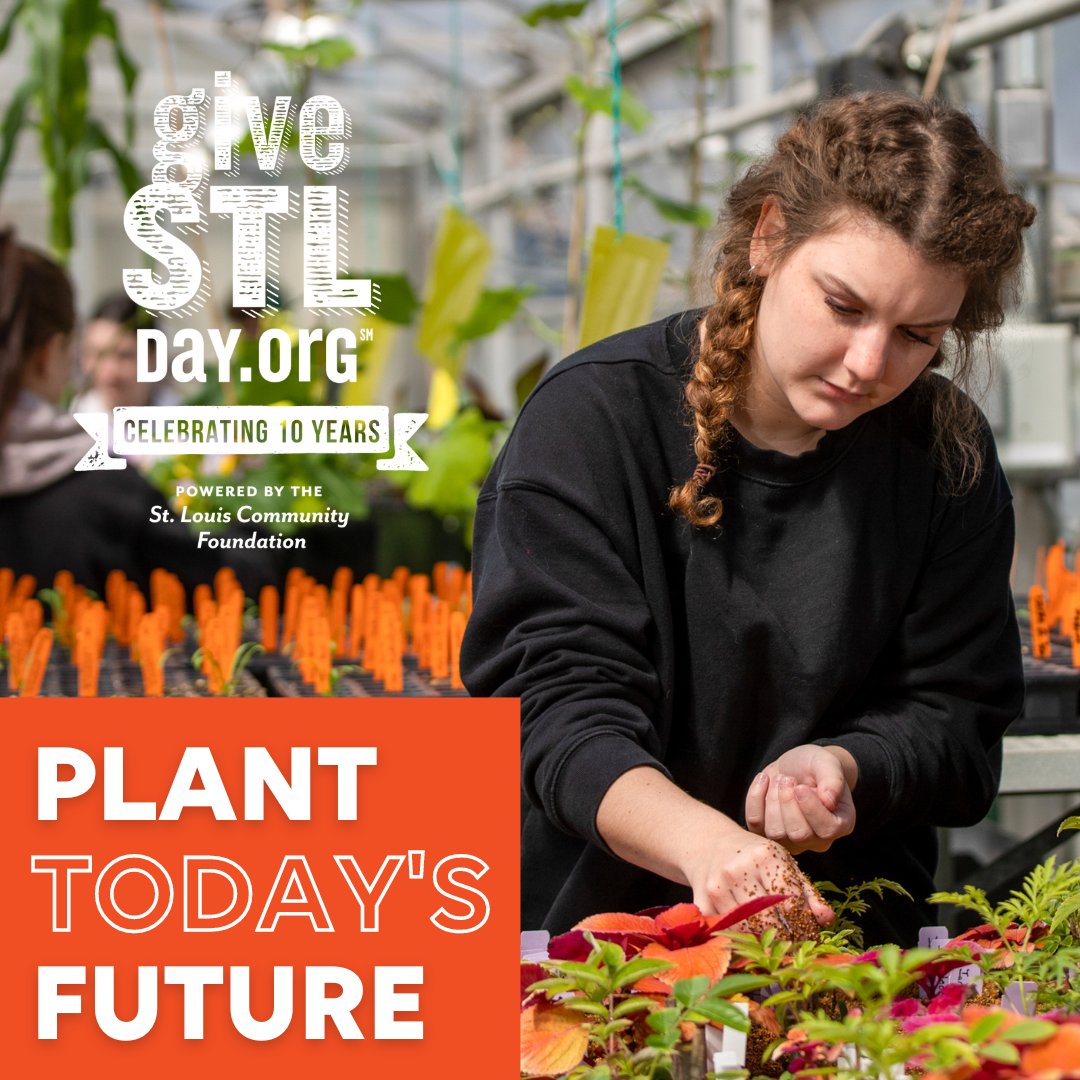 STLCCalum's tweet image. We are halfway through #GiveSTLDay and we need your help to make it the best yet. Plant today’s future by visiting givestlday.org/stlcc. You can help support our STLCC Student Emergency Fund. #stlcc