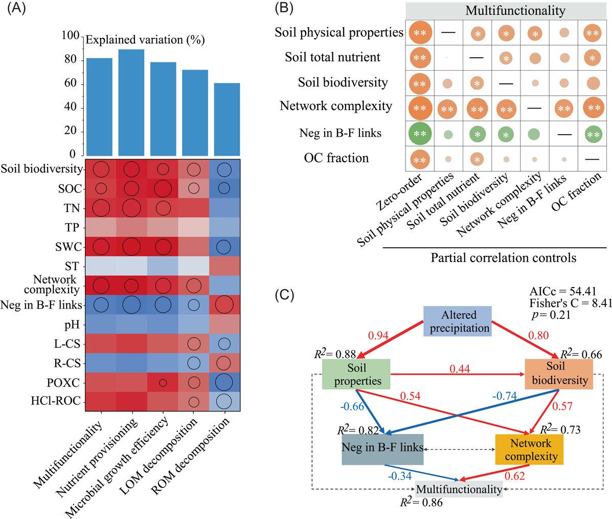 Decreased soil multifunctionality is associated with altered microbial network properties under precipitation reduction in a semiarid grassland #Bioinformatics #microbiome #soil #network #ecology @wileymicrobio @WileyEcolEvol @wileyinresearch onlinelibrary.wiley.com/doi/full/10.10…