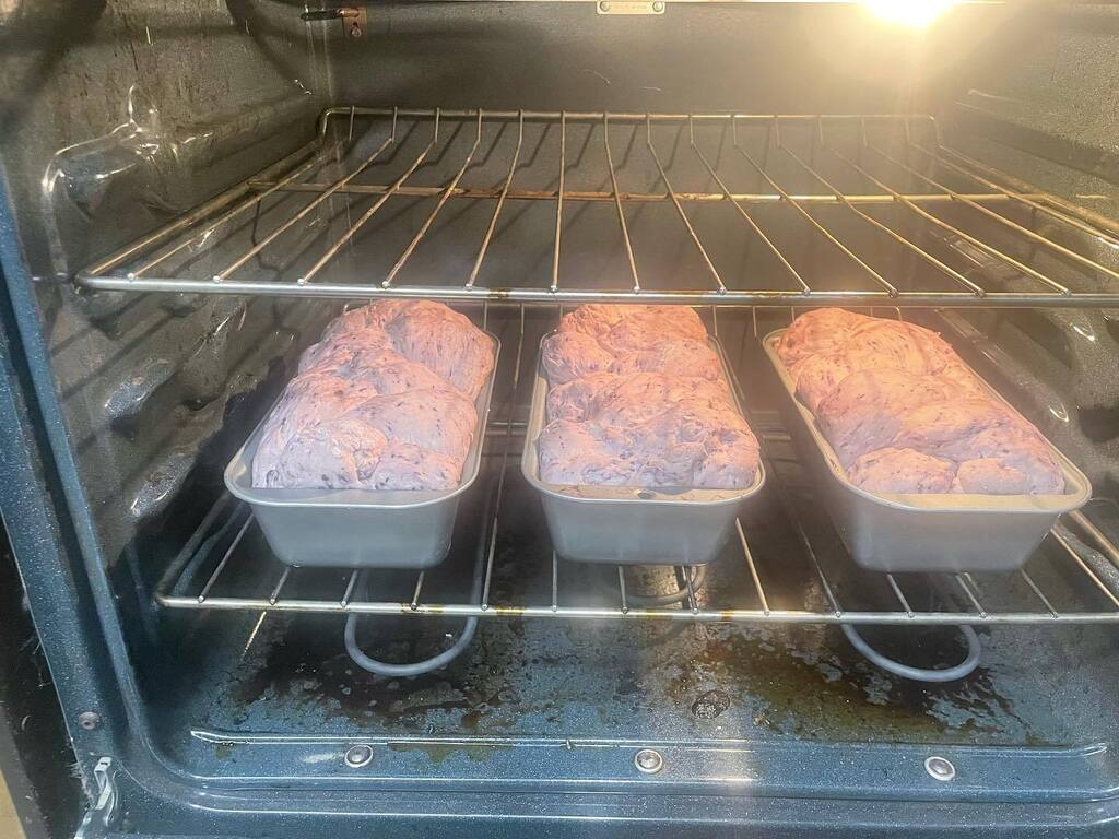 Jordan Allsup tweet media