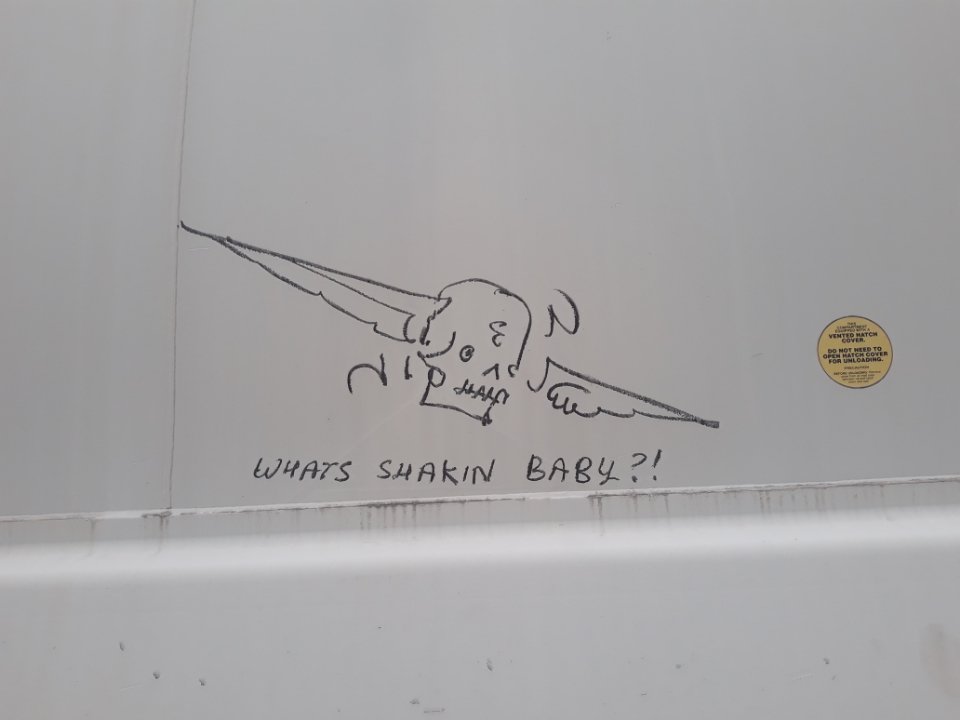 45pluto's tweet image. 