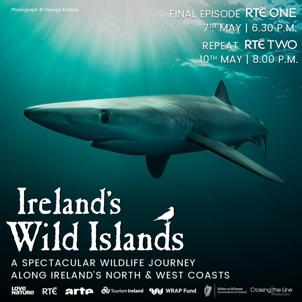 Join Eoin Warner on the last leg of his journey along Ireland's coast through the waters of Kerry and Cork

The third and final episode of 'Ireland's Wild Islands' is this Sunday at 6:30pm on <a href="/RTEOne/">RTÉ One</a> and <a href="/RTEplayer/">RTÉ Player</a> 

Don't miss it!

#irelandswildislands