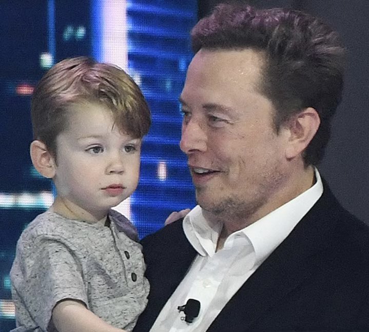 Daniella Design tweet media