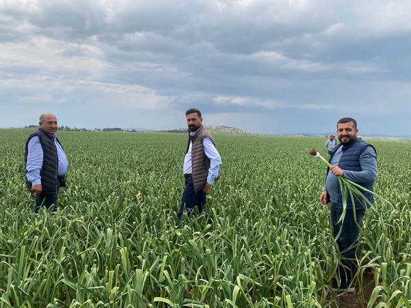 “Our advantage is that our garlic harvest starts when the Egyptian season ends” <a href="/TumenTarim/">Tumen Tarim® Farm</a>
freshplaza.com/europe/article…