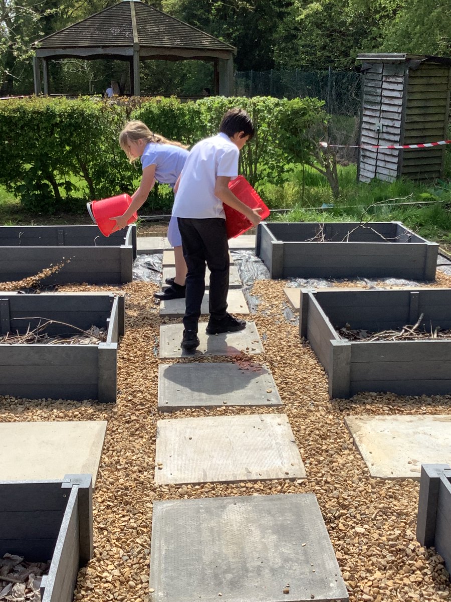 Bildeston Primary School tweet media