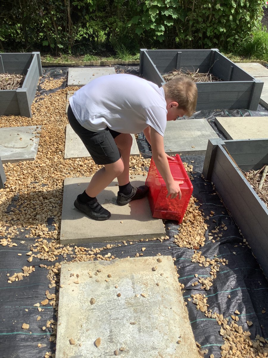 Bildeston Primary School tweet media