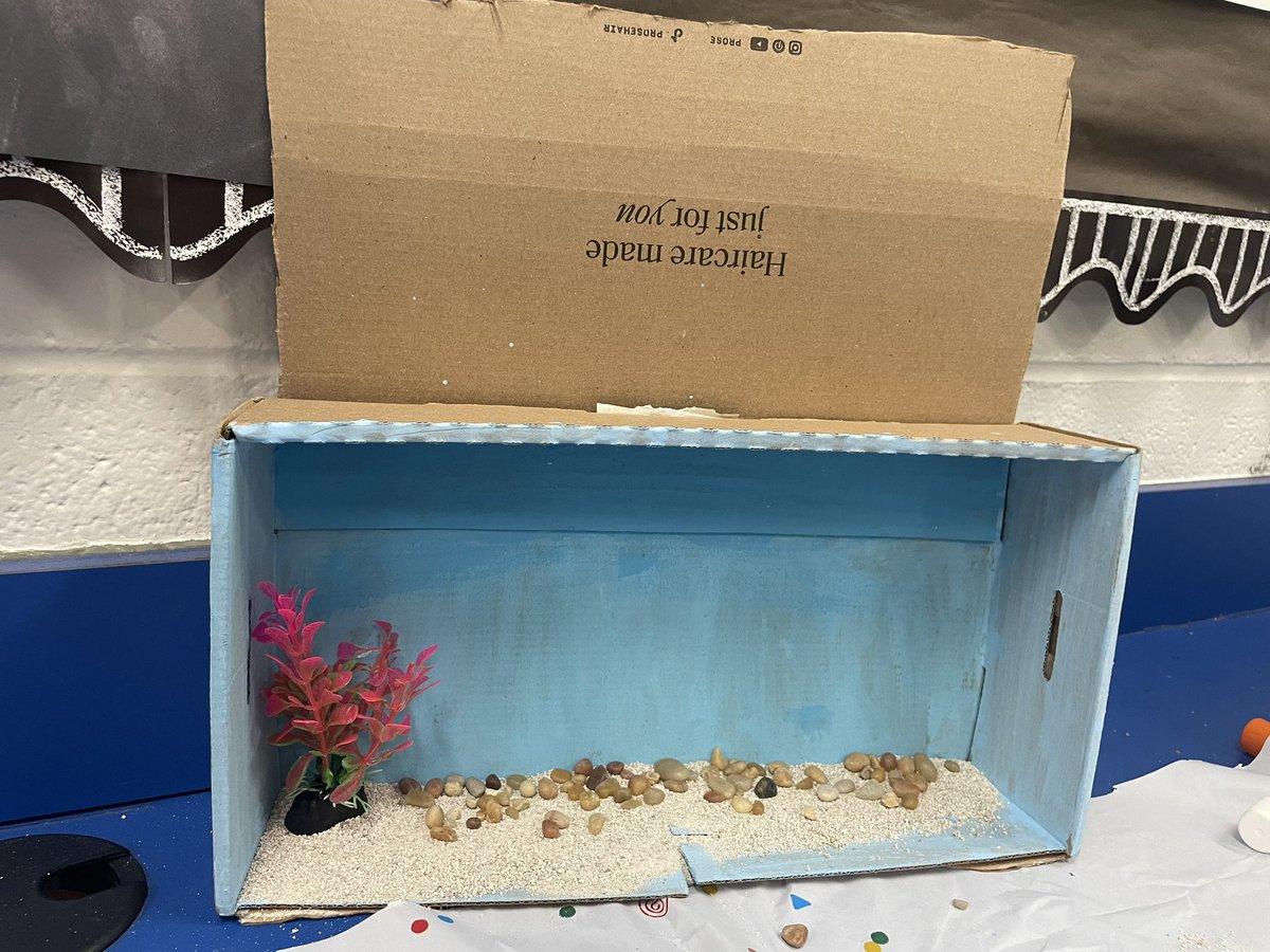 ms_luco's tweet photo. Take a look at our project about ecosystems! We are using recycled materials to explain the characteristics and impact humans have on ecosystems around the world 🌎 4.RI.4.8 Spanish Class @Smith_Seabees
#ambassadorteacher #UnitingOurWorld 
@ParticipateLrng 
 #UnitedWeTeach https://t.co/s2s39IzT0H
