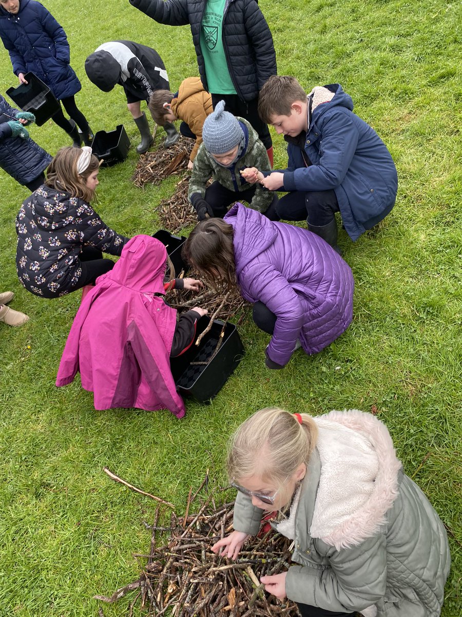 standrewsmajor's tweet photo. Last week #SAMsY4 made potions with natural materials and then stick wands! #SAMsOutdoorLearning https://t.co/FHeKcjmmyP