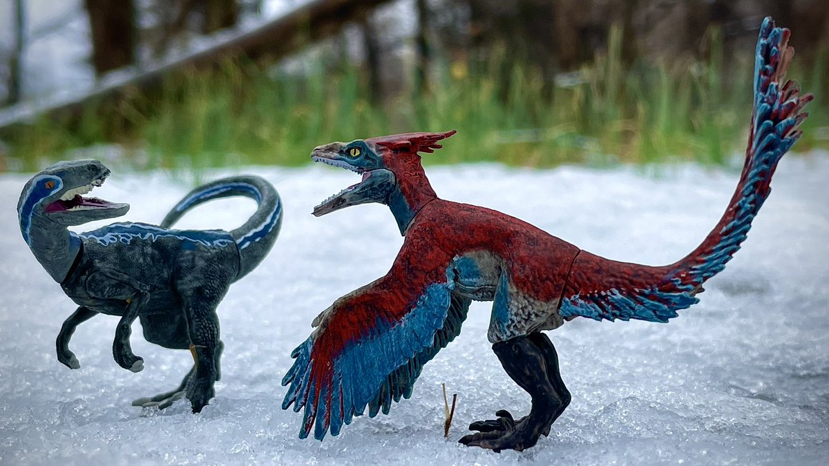 CollectorPaleo's tweet photo. Blue Vs. The Alpha Pyro
#ToyMonsterInternational #PlaywisePartners #Captivz #JurassicWorldCaptivz #JurassicWorld #JurassicWorldDominion #JurassicPark https://t.co/msJP7WecjN