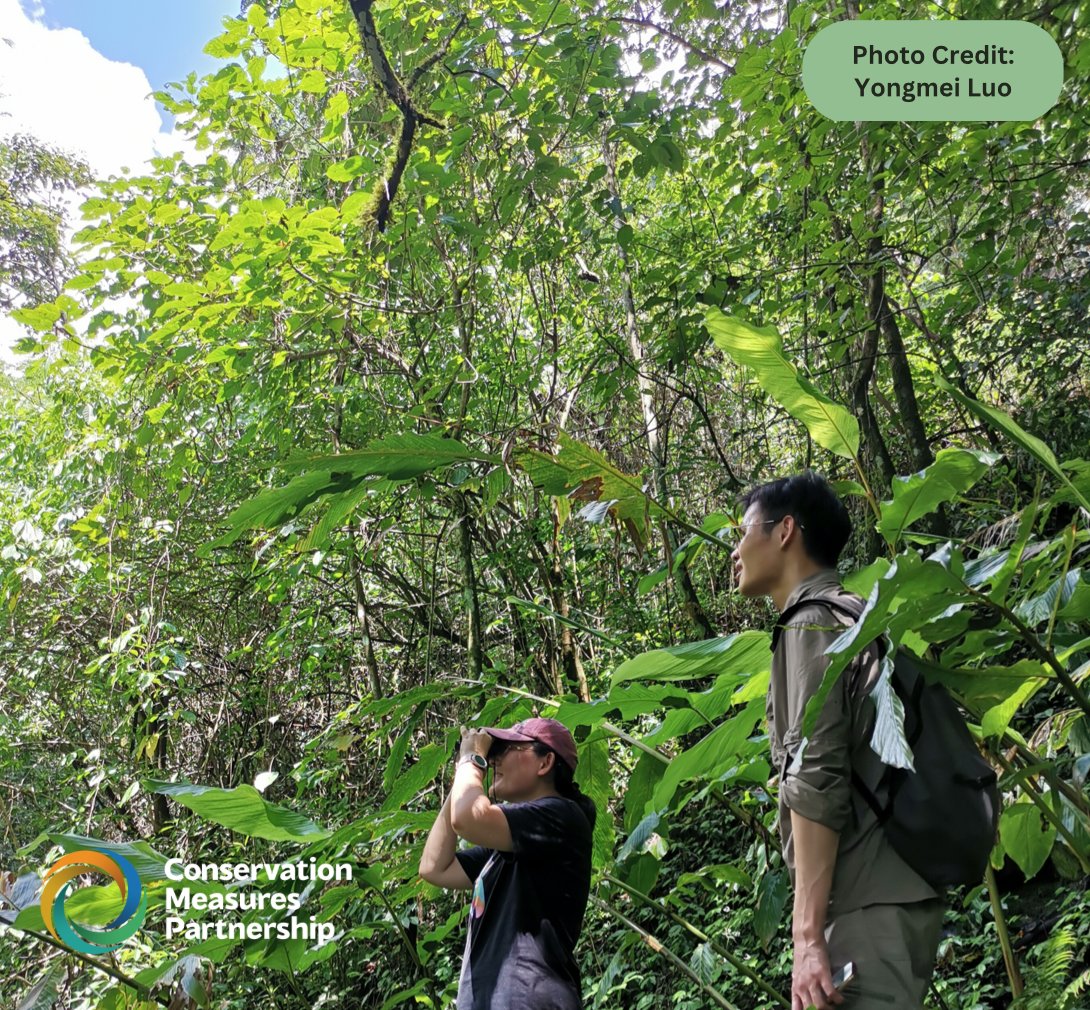 Conservation Measures Partnership (@cmpmeasures) on Twitter photo Looking to engage your org in a global network of conservation-oriented orgs? Drawing from rich experiences, CMP members - the stewards of the #ConservationStandards - work together to better design, manage & measure conservation efforts. Email: CMPinfo@ConservationMeasures.org! Looking to engage your org in a global network of conservation-oriented orgs? Drawing from rich experiences, CMP members - the stewards of the #ConservationStandards - work together to better design, manage & measure conservation efforts. Email: CMPinfo@ConservationMeasures.org!