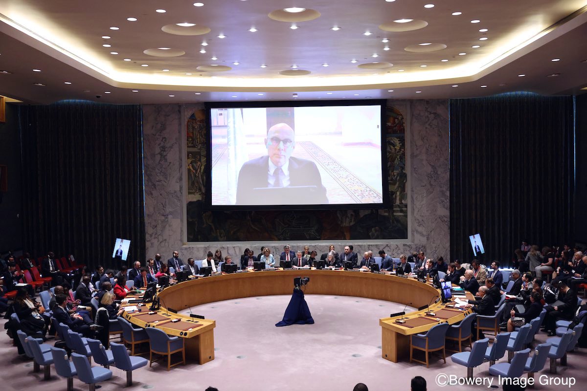 cy_chigwenya's tweet photo. What a commendable way of starting a maiden presidency of the #UNSC!!!

Thanks to #Switzerland for their commitment to inclusion in practice. Yesterday, I represented #YouthforPeaceAfrica &amp; briefed the 9315th Meeting of the Council.

Thanks to @AUC_PAPS @swiss_un @SwissAddisAbaba https://t.co/fPHBxEENhm