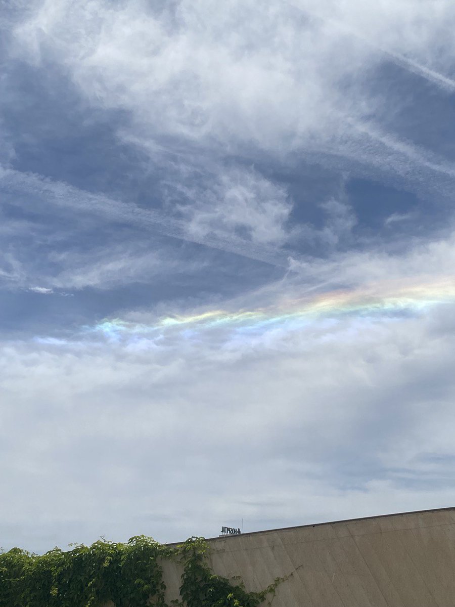 July Nechaeva tweet media