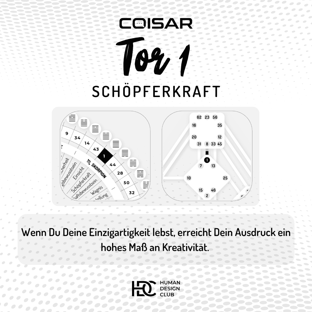 Human Design Club tweet media