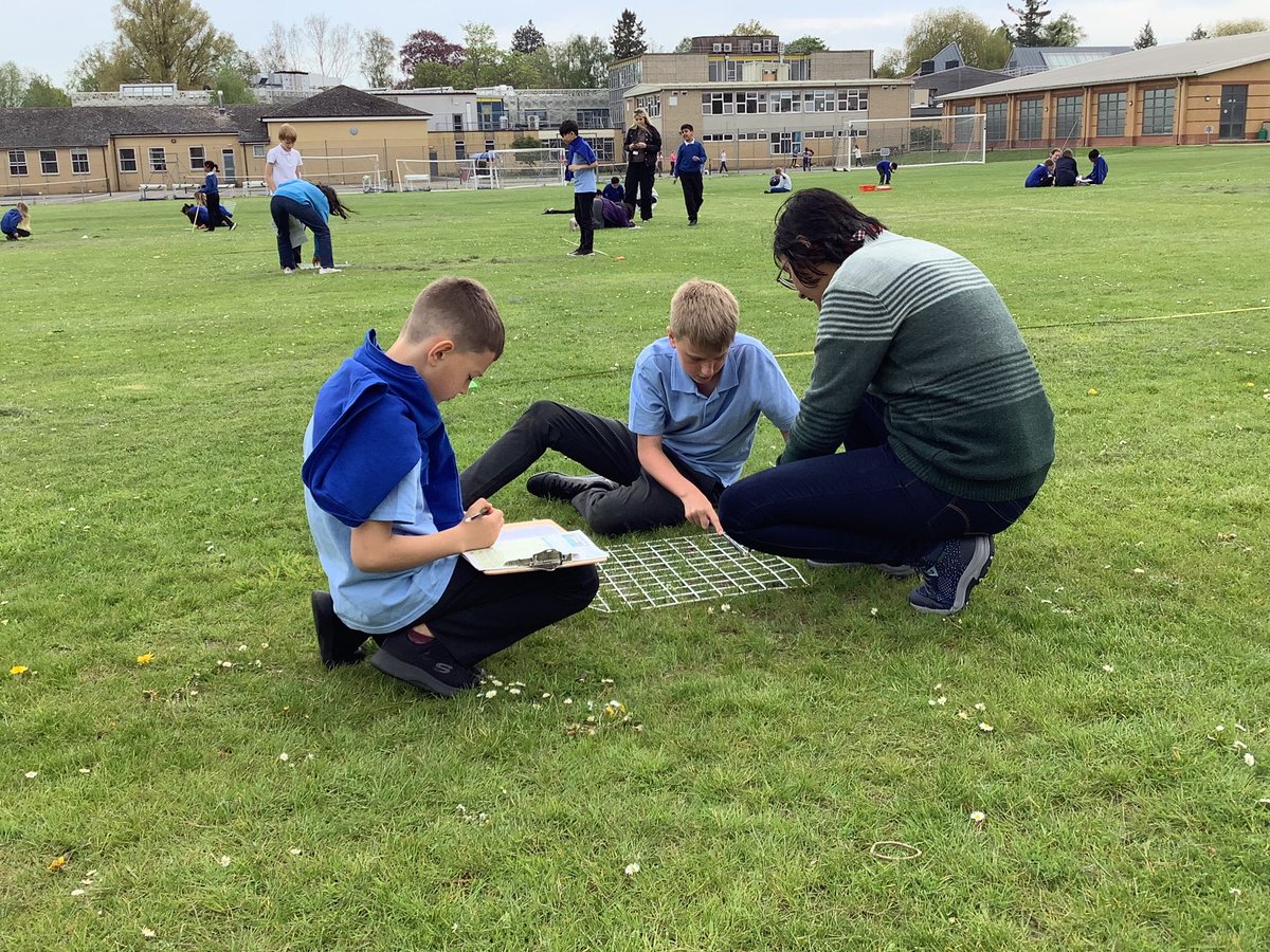 OxfordHighSTEM's tweet photo. @NewMarstonPS Y5 carrying out systematic sampling on the school grounds using quadrats, random coordinates and our Y12 helpers to find species abundance. Excellent field work skills! https://t.co/HecQaSMrtt