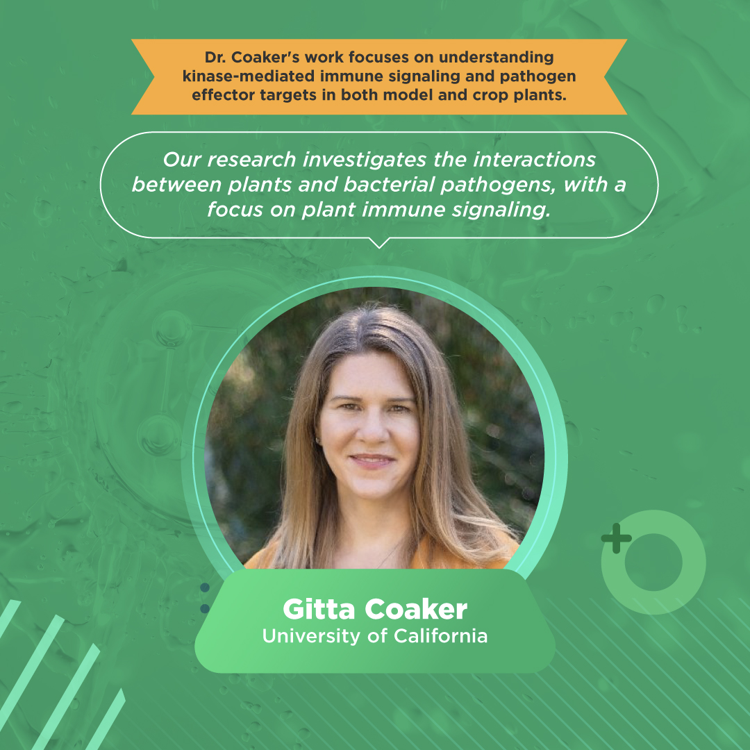 International Molecular Plant Protection Congress tweet media