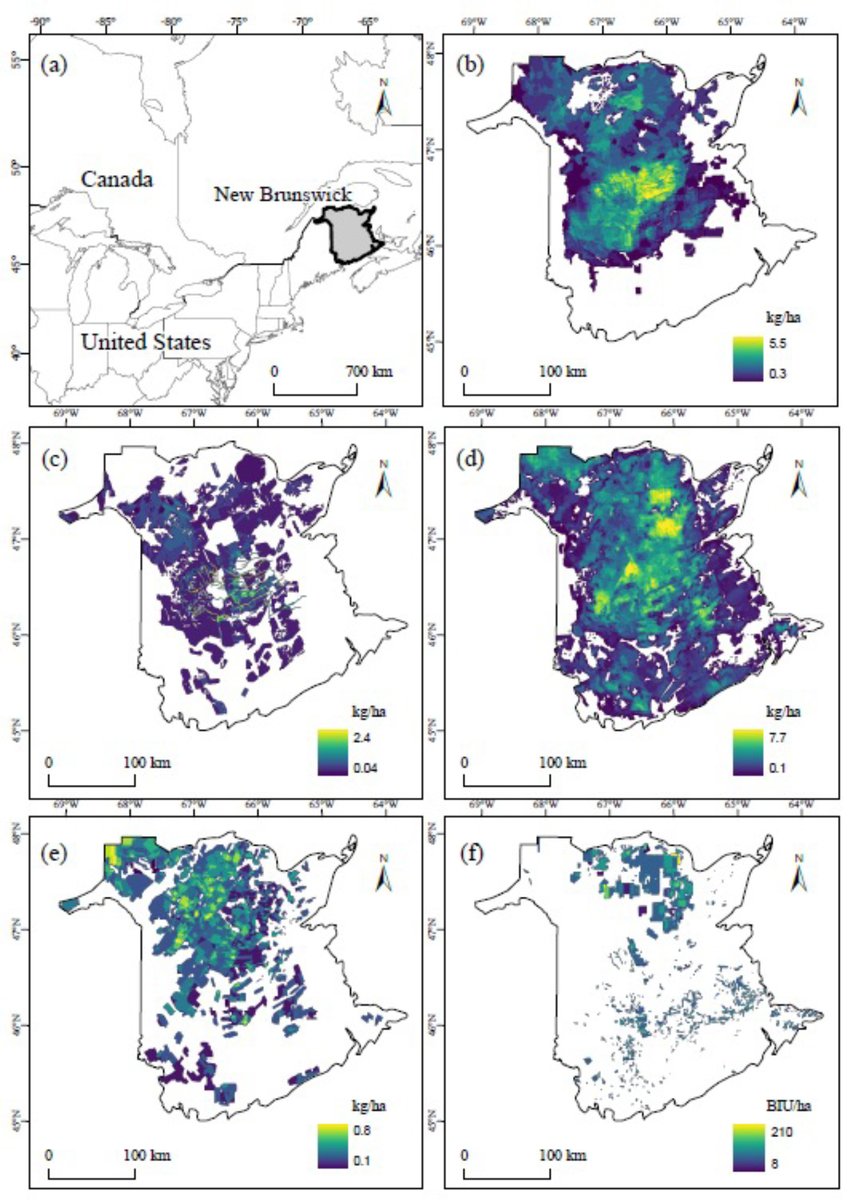Ecology (@esaecology) on Twitter photo A new Data Paper in <a href="/ESAEcology/">Ecology</a>:
Historical pesticide applications for the treatment of eastern spruce budworm infestations in New Brunswick
doi.org/10.1002/ecy.40…
#DDT #SilentSpring #HistoricPesticide #OpenScience <a href="/CB_Edge/">Chris Edge</a> <a href="/CFA_AFC_Science/">Atlantic Forestry Centre</a> A new Data Paper in <a href="/ESAEcology/">Ecology</a>:
Historical pesticide applications for the treatment of eastern spruce budworm infestations in New Brunswick
doi.org/10.1002/ecy.40…
#DDT #SilentSpring #HistoricPesticide #OpenScience <a href="/CB_Edge/">Chris Edge</a> <a href="/CFA_AFC_Science/">Atlantic Forestry Centre</a>