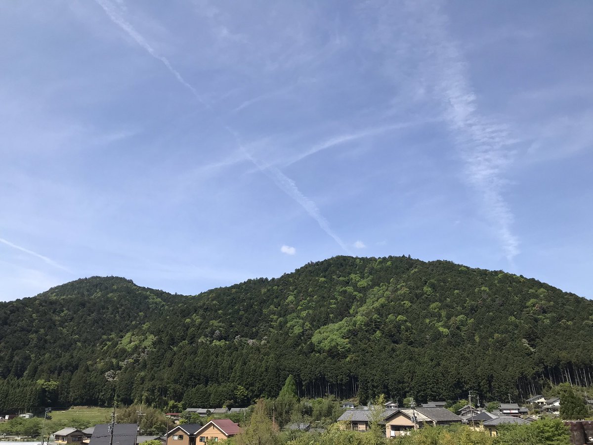 みどりの日にみどりを堪能して参りました🌿
✨d(￣(工)￣)