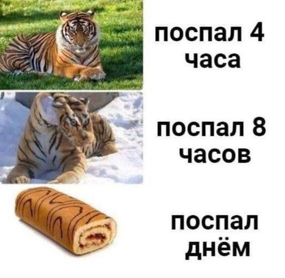 Pechenka_Zero's tweet photo. https://t.co/Yj2SBau0Cm