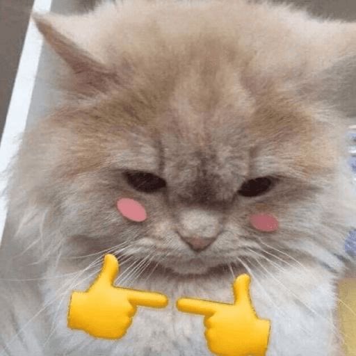 ba mutualan yuuuuuuu ~~ #zonauang