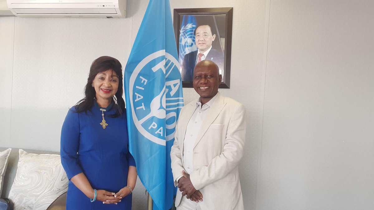 FAOSouthAfrica's tweet photo. #DeliveryAsOne FAO Rep Babagana Ahmadu met with  the Head of UNEP Southern Africa sub-regional office Dr Meseret Teklemariam Zemedkun to discuss possible areas of collaboration @UNEP @UNinSouthAfrica @faosfsafrica https://t.co/E9Zxqp8eOV