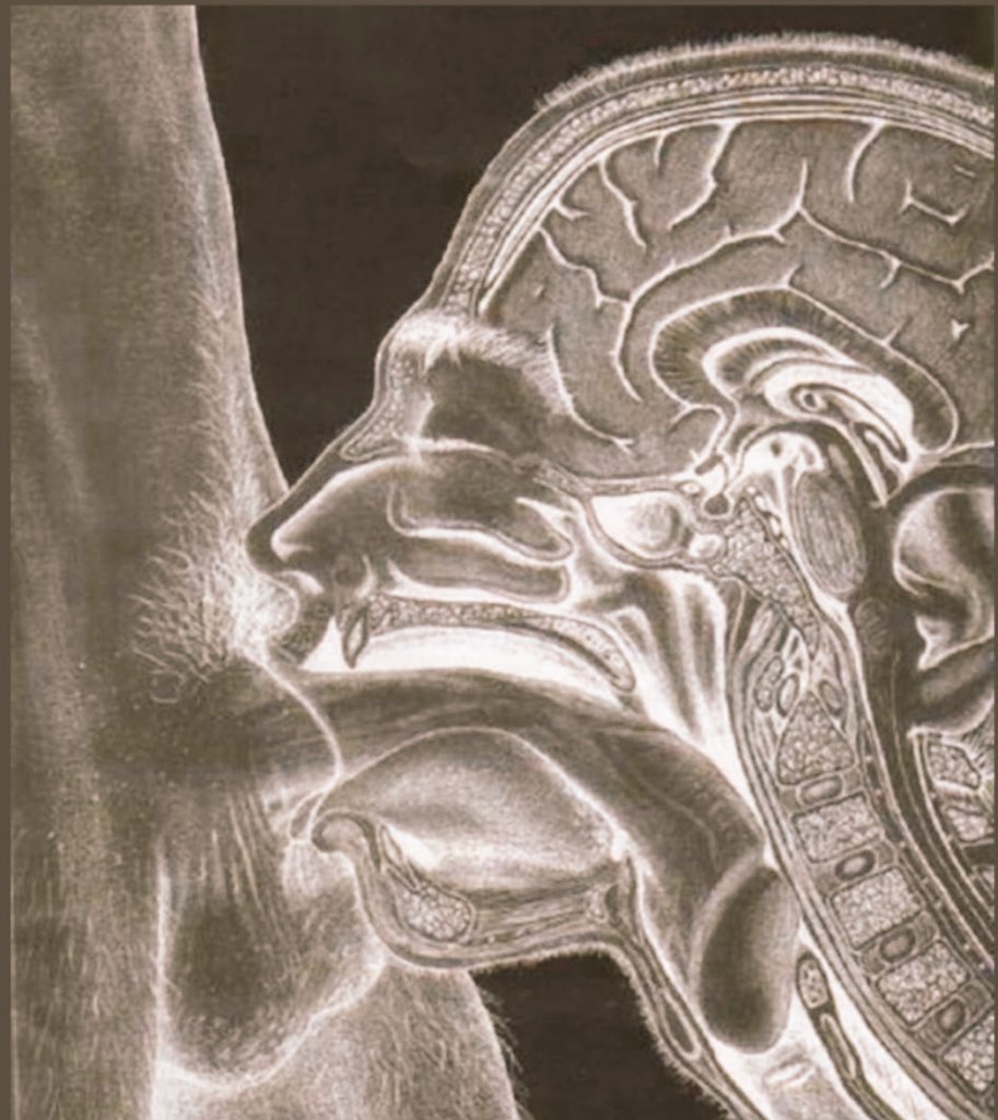 وين #موجب_الدمام
#موجب_الخبر #موجب_الظهران
تعال امصلك
أنا #سالب_الدمام
#سالب_الدمام_مبادل_الدمام_موجب_الدمام