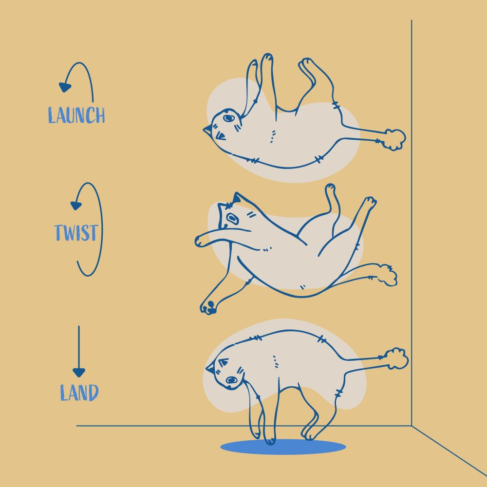 Discover why cats always seem to land on their feet with our latest Quick Read: The Physics of Falling Cats apple.co/3AvtP41