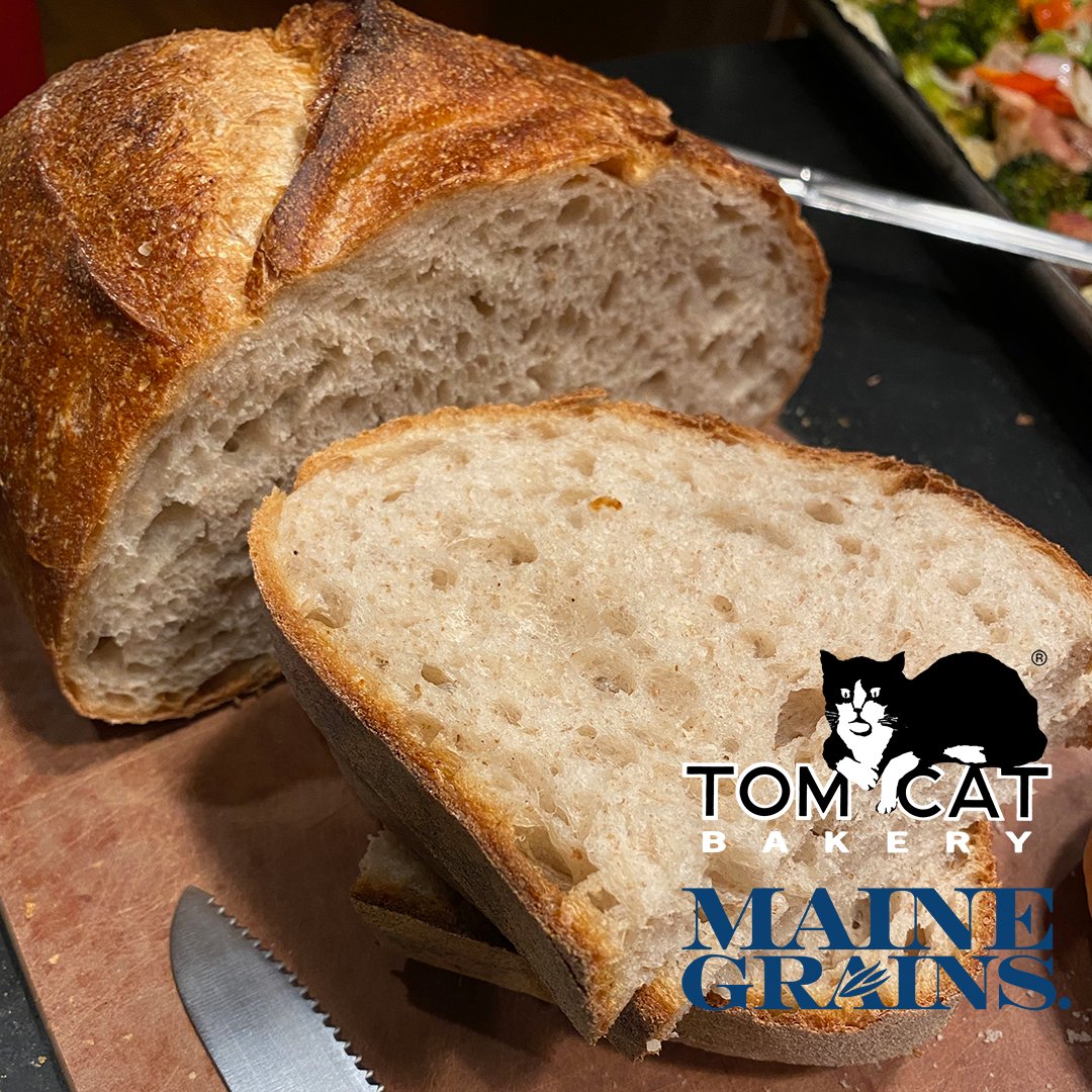 TomCatBakery's tweet photo. 🌾🥖 Fun fact: Red Fife wheat is a heritage variety of wheat originally used from 1850-1900 in the Northeast US and Canada. Our Northeast Heirloom Sourdough Batard uses Red Fife from @MaineGrains https://t.co/PCeU9fTgPK #nycbakery #artisanbread #RedFifeWheat #HeritageVariety https://t.co/pDtmrBd6hZ