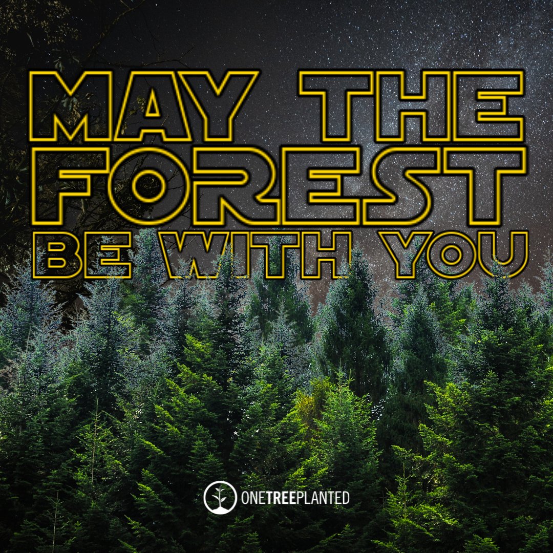 onetreeplanted's tweet photo. This is our take on this iconic day 💫🌲 #MayTheForceBeWithYou https://t.co/vxfEhjndHy