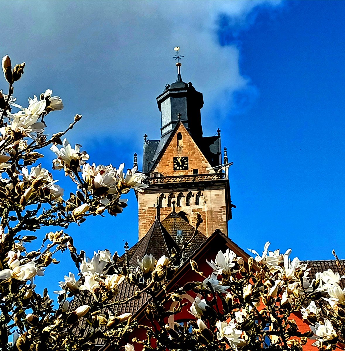 #korbach #hansestadt #waldeckfrankenberg #dorfkind wieder #zuhause #heimat