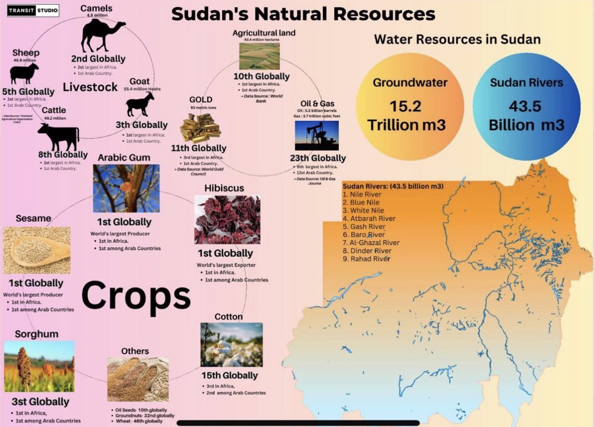 amanirenas40's tweet photo. Look at how rich our land is. We live in abundance and the tyrants won’t let us prosper with what God has blessed us with. https://t.co/Lk4akXYcbK