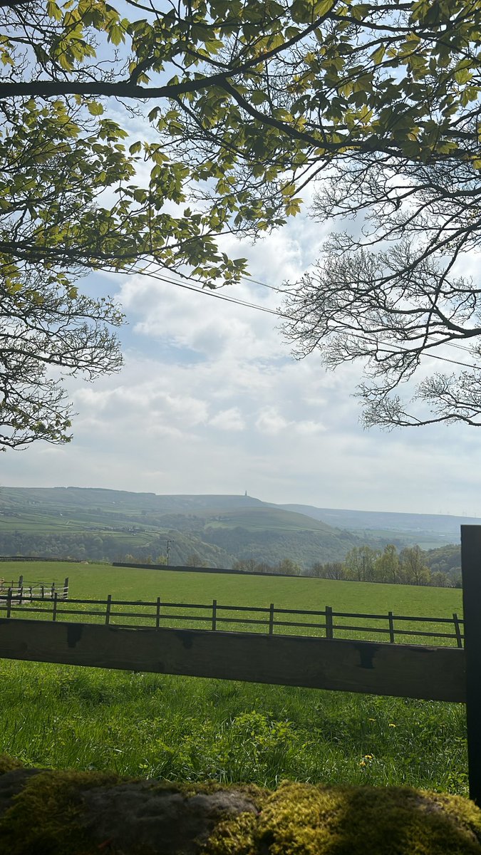 SophieSeni3853's tweet photo. School pick up views #sunsshining https://t.co/c9dM9Vvw8b