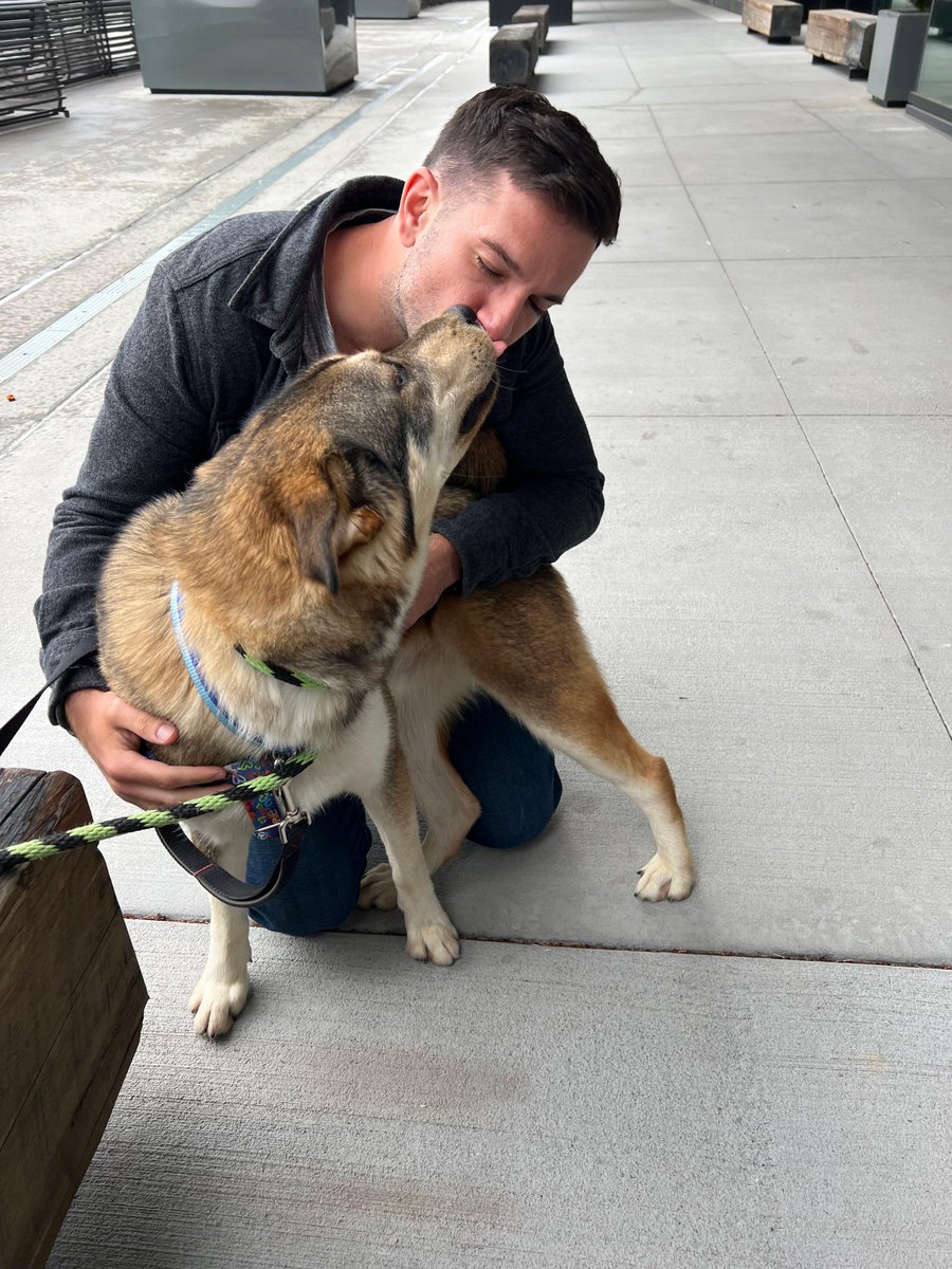 Unlike his namesake, our Tin Man has one of the biggest hearts around - which is exactly why he is @965TDY #PetOfTheWeek!

Tin Man (5 year old shepherd mix) has many friends at the shelter, but we keep assuring him that there really is no place like home. Let’s find his today. ❤️