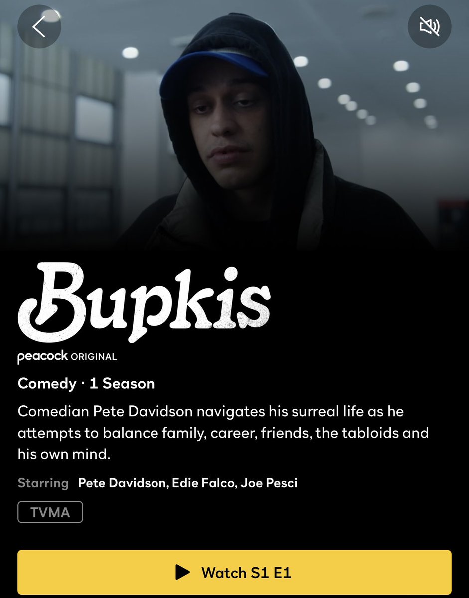 best of pete davidson tweet media