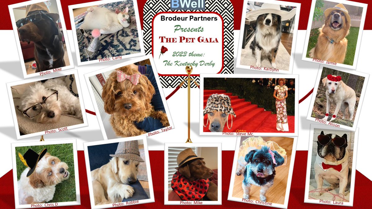 We had a paw-some time celebrating the Brodeur #KentuckyDerby themed Pet Gala! Check out the pets of Brodeur decked out in their Derby-day attire🐴🌹!  #NationalPetMonth