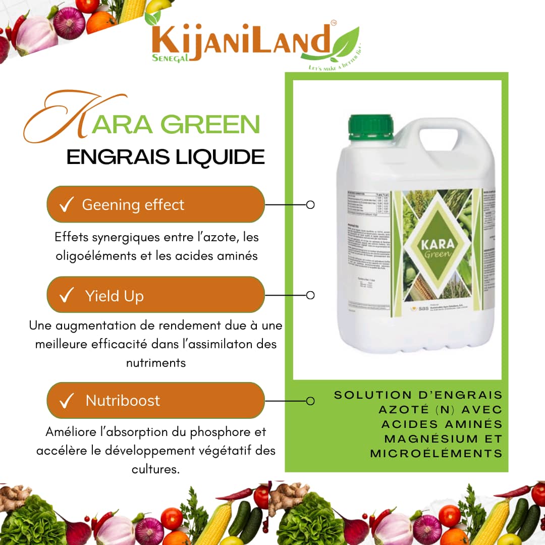 kijaniland's tweet photo. #Kijaniland #karagreen #engrais #transformingafrica #theafricawewant #thisisafrica #OneAfrica #creatingoneafricanmarket #africanunity #growth #betterafrica #strongertogether #agriculturebio #agricultureraisonnée #terreperenne #protectiondesvegetaux #isra #ensathies #horticulture https://t.co/COOHFRkXRt