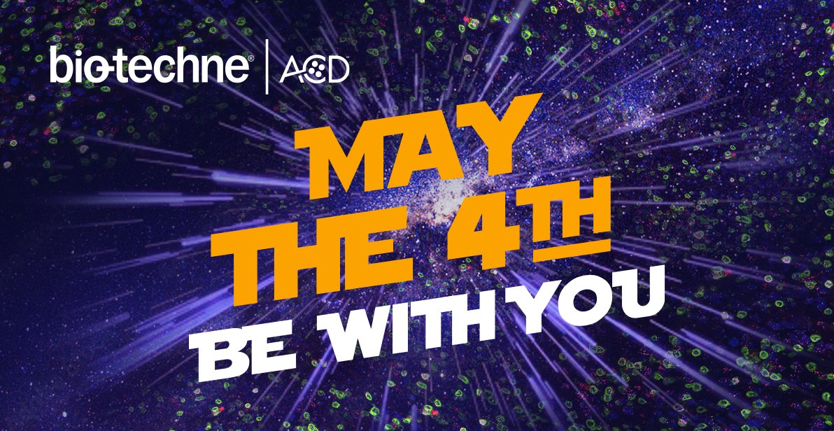 bt_spatial's tweet photo. Here at @ACDbio β we know Yoda Best! Celebrating this day with our galaxy of probes! Ask us about our custom #RNAscope #RNAISH made-to-order probes - ANY gene, ANY species, ANY tissue #AdvancingYourRNAISH #45Kprobes #MayTheFourthBeWithYou
https://t.co/2j6Cke5P7w https://t.co/IQKeuMQ3Ev