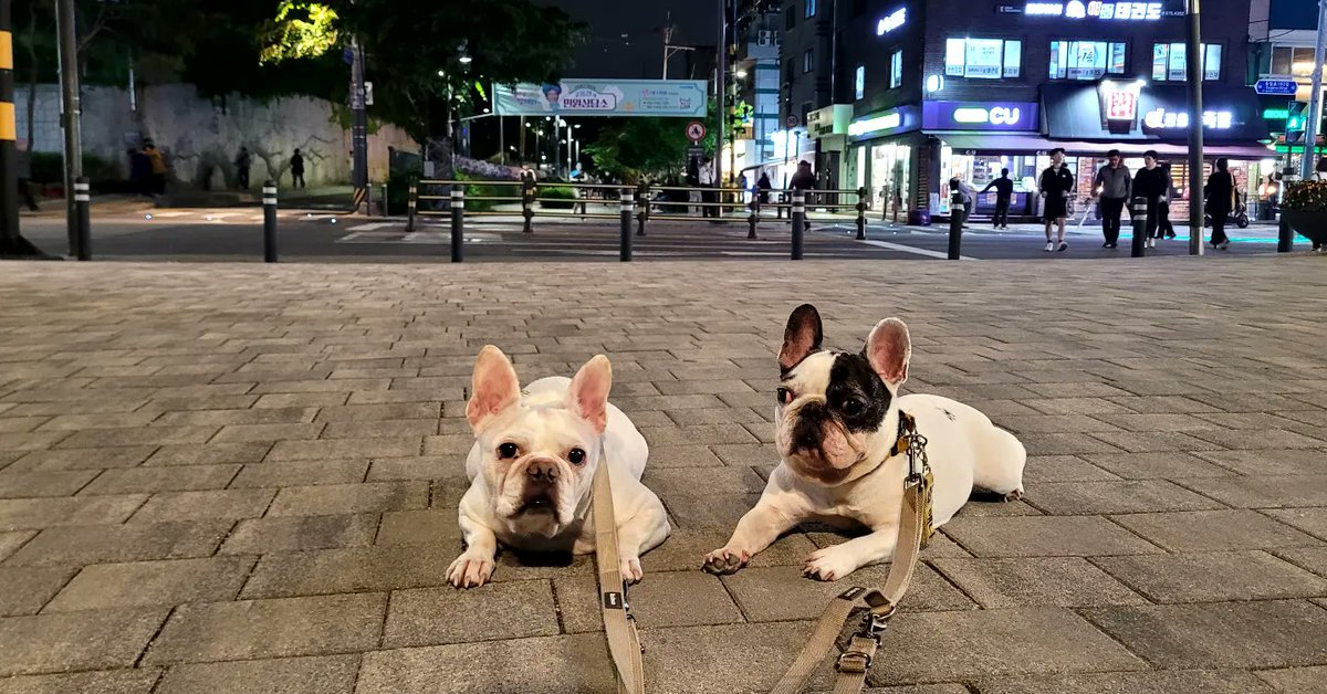 jkb6746's tweet photo. @2sanman2 얘네 둘이 포인핸드 활용했잖아요^^ https://t.co/iHPUVz6O2x