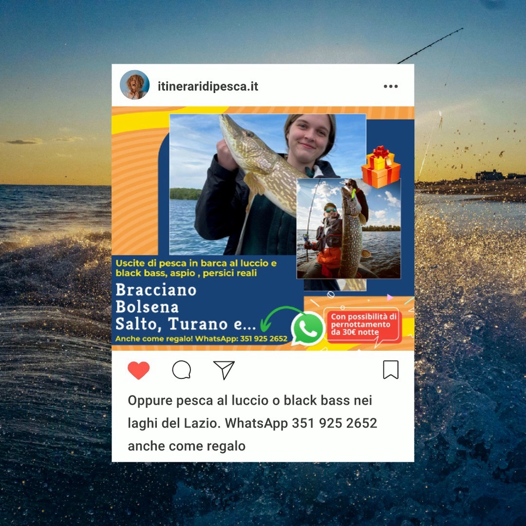 itineraridipesca.it tweet media