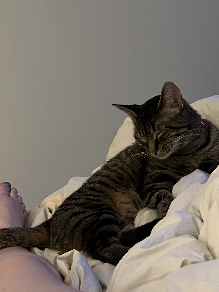 Meg DeForest tweet media