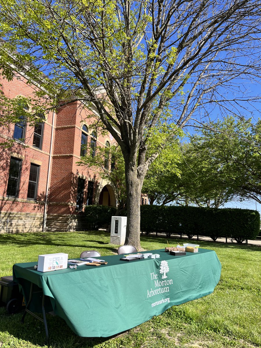 Tricia Bethke tweet media