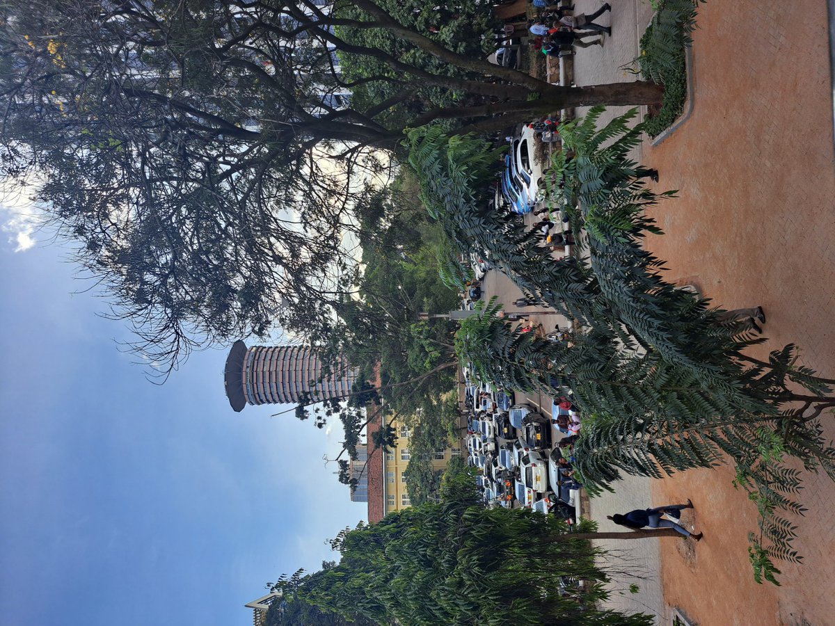 HonHarunIbrahi2's tweet photo. #cameltea and the view of #kicc https://t.co/nrTxhQtiRz