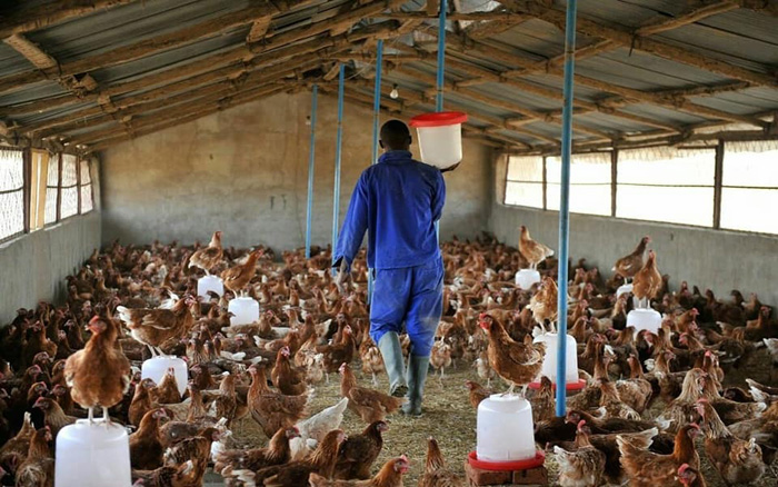 kibuukla's tweet photo. The @OWCUg objective of the @GovUganda national policies, interventions, and programs aimed at transforming agriculture from subsistence to commercial agriculture with a target of raising household incomes to a minimum of UGX20 million per household per year.@PDMSecretariat https://t.co/fE8EYtzA8M
