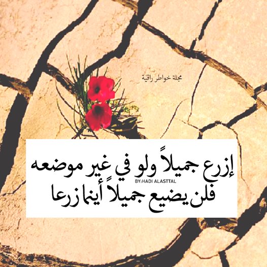 alserehi0's tweet photo. https://t.co/TnWuHdDRrs