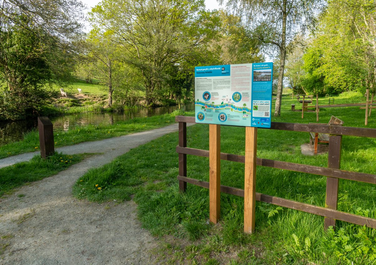 MontWildlife's tweet photo. Have you spotted our brand-new bilingual visitor interpretation on the #MontgomeryCanal? The four eye-catching boards, in #Welshpool, #Llanymynech, #RedHouse and #Abermule, are about this wonderful waterway's wildlife💚🦢🌳🐾https://t.co/bEK58FC99K 📸David Stevens #RuralNetworks https://t.co/0hh7SLOoYf