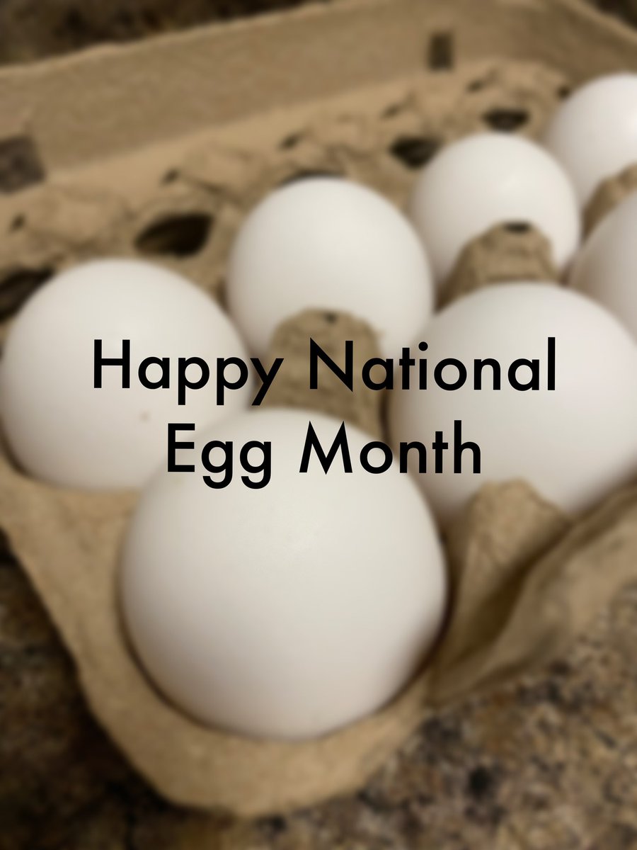 PoultryTimes's tweet photo. May is National Egg Month!π₯Happy National Egg Month from the @PoultryTimes π³
#May2023 #poultry #eggs #poultrytimes
Follow us on Facebook, Twitter and Instagram for more! https://t.co/Im0lIYEnCn